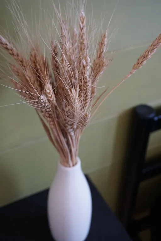 Дом с фурако на берегу реки