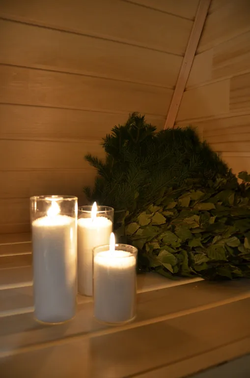 Уютный дом в сосновом лесу