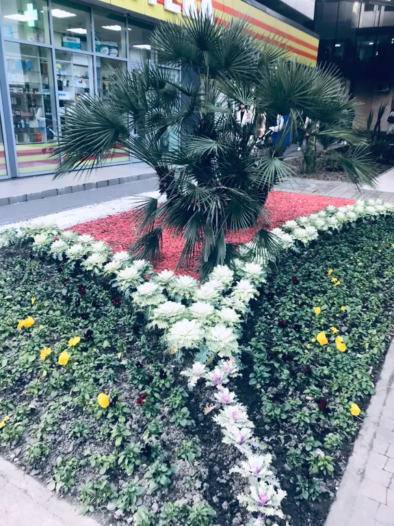 Квартира Квартира Ареда-констиаль с двумя спальнями центр города — Сочи