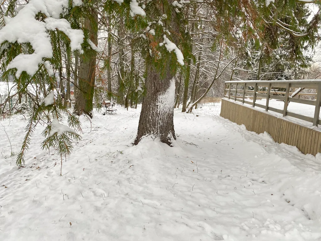 Коттедж Домик Хирви уютный коттедж на отдельном участке с вековыми деревьями — Москва