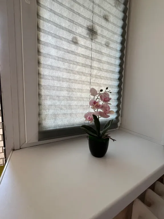 Квартира в экологичном районе