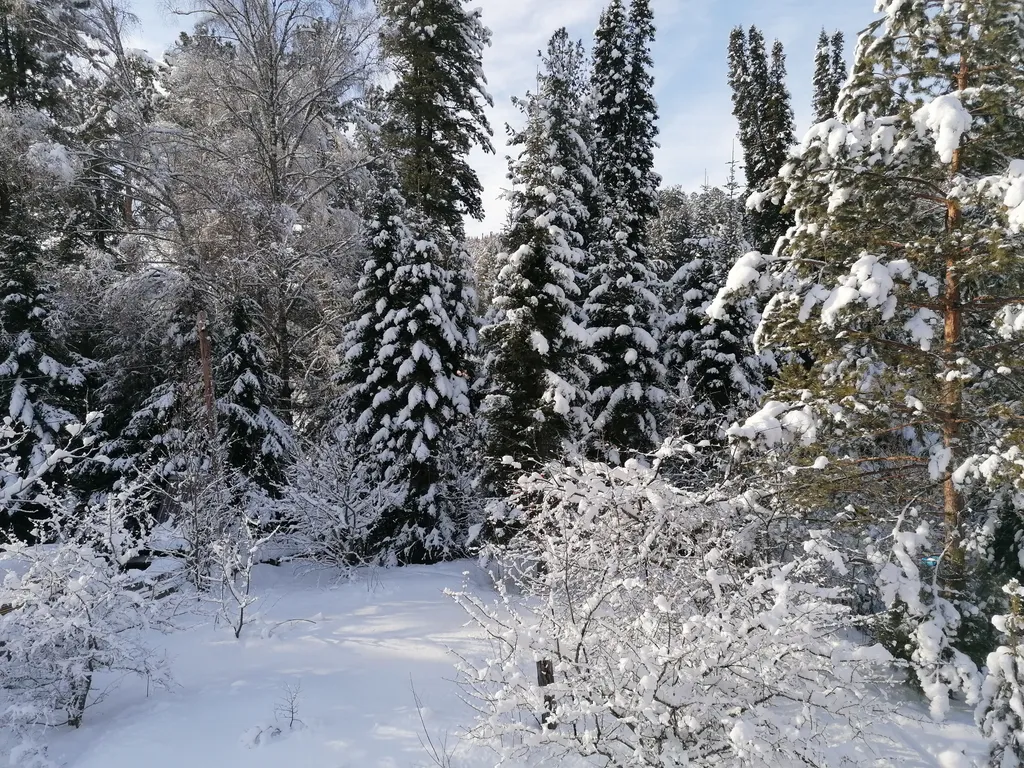 Усадьба Солнечная, лучшее место для уединения