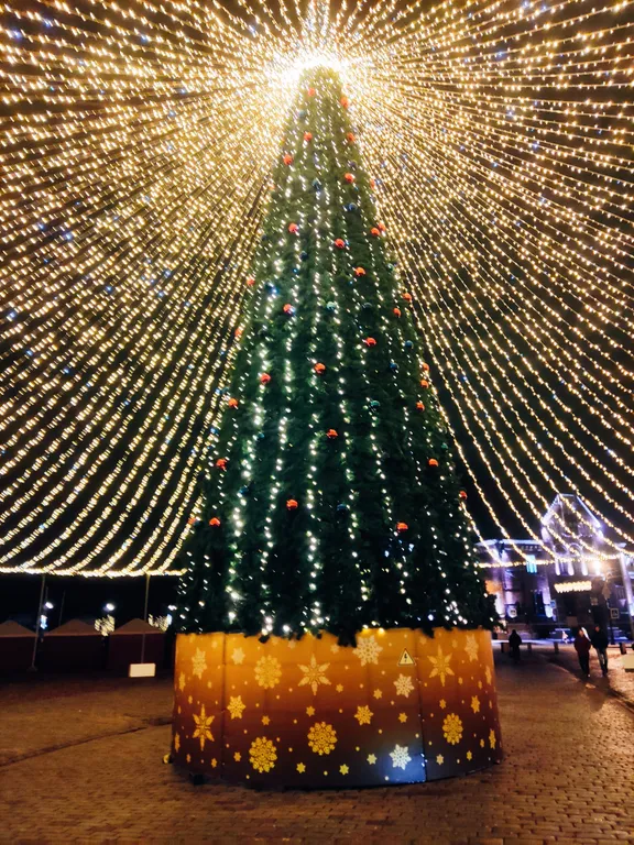 Светлая студия в исторической части города