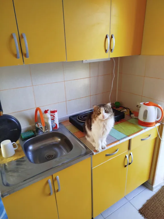 Студия на центральной улице