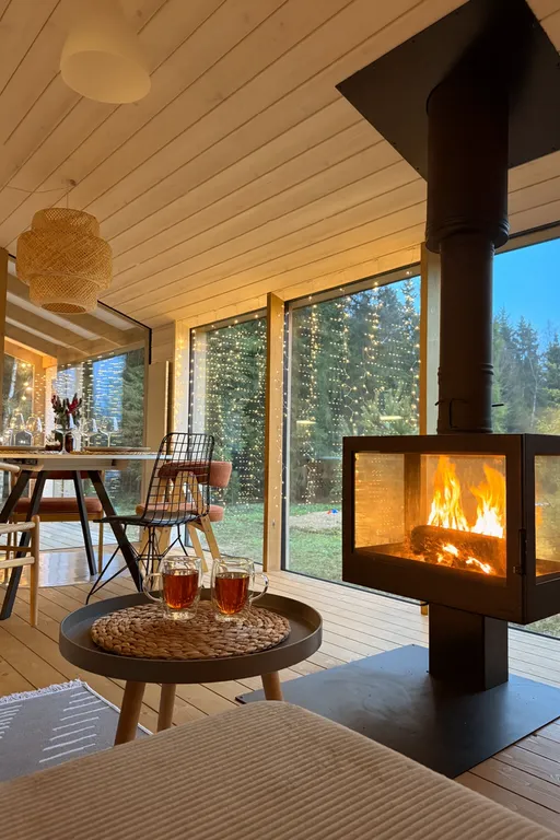 Дом с панорамным камином и видом на лес