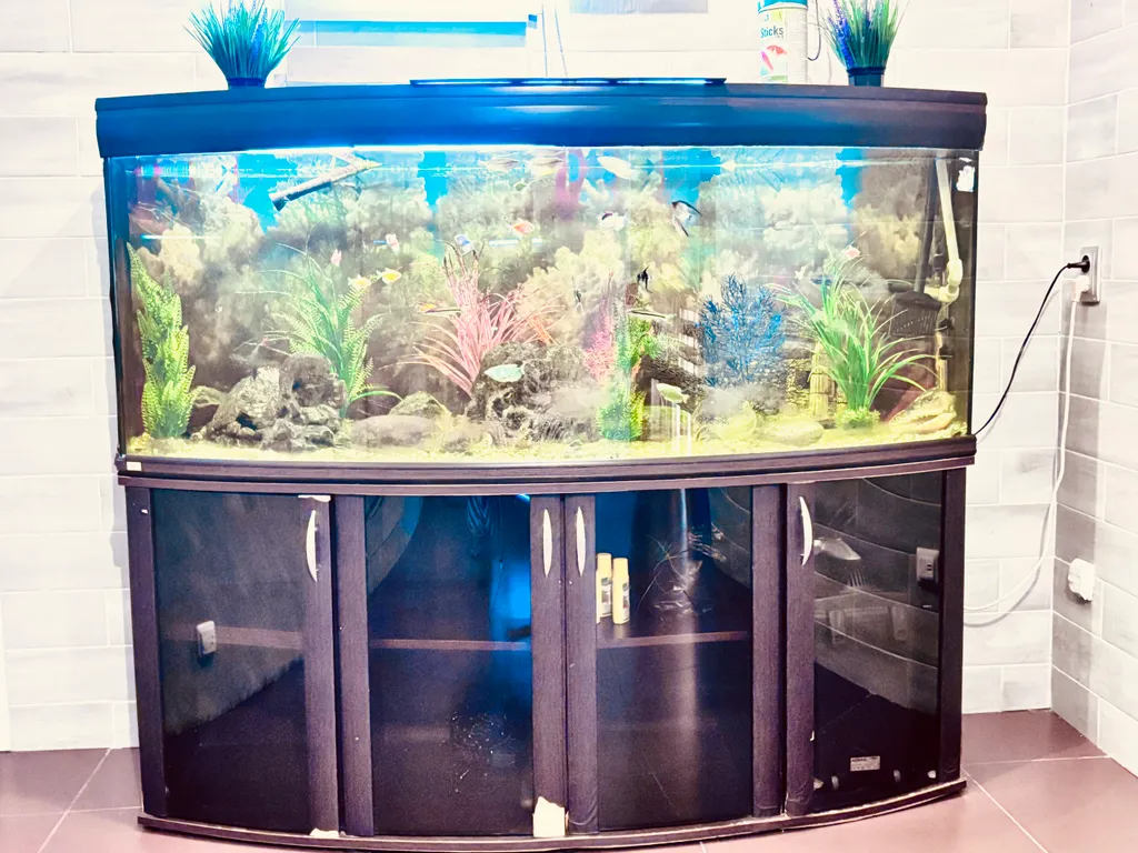 Уютный дом с видом на Онежское озеро