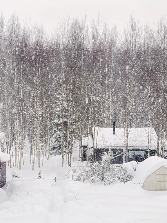 Домик в лесу с баней