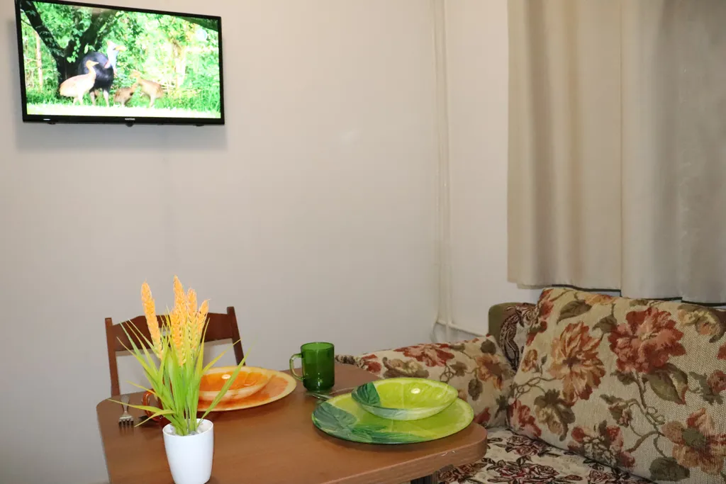 Прохладная студия с двуспальным диваном у станции МЦД4 Железнодорожная