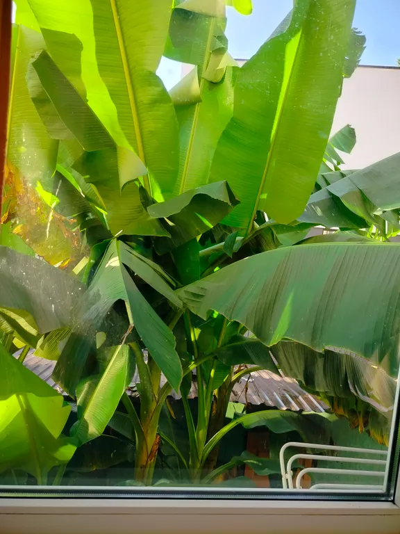 Квартира Квартира Студия у моря Сочи р-н Мамайка — Сочи