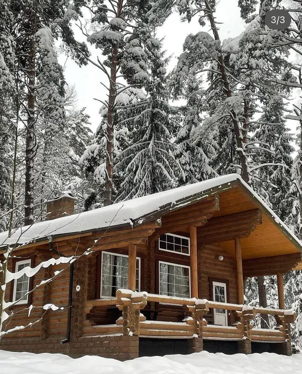 Загородный коттедж для компании в лесу на берегу реки Ока