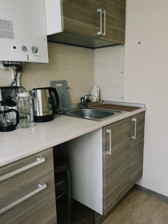 Грин Дрим (Green dream), уютная, душевная квартира в центре города