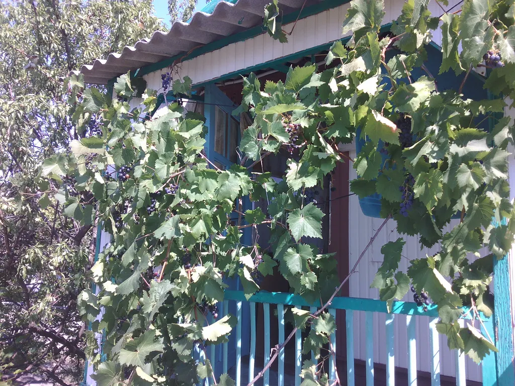 Квартира Двухместный номер с балконом — Судак