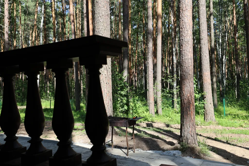 Барнхаус №1 с панорамой