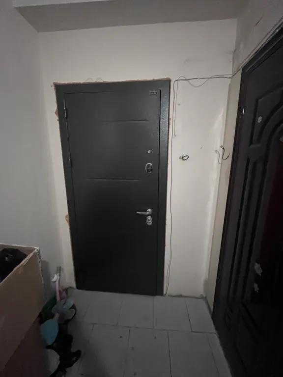 Уютная студия в районе леса