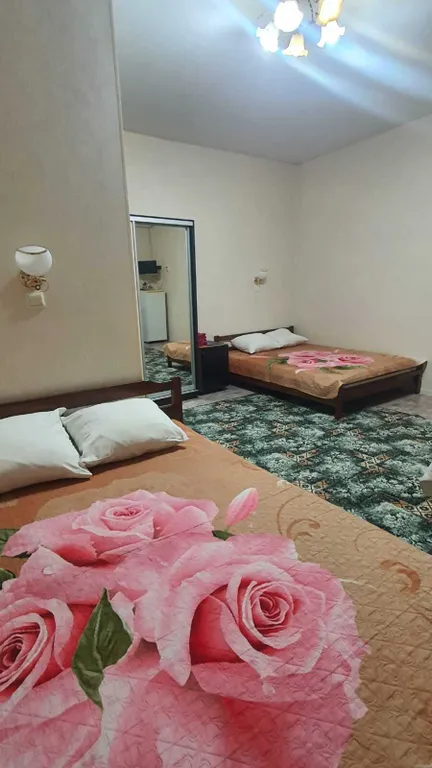 Квартира Квартира Номер в центре — Лазаревское