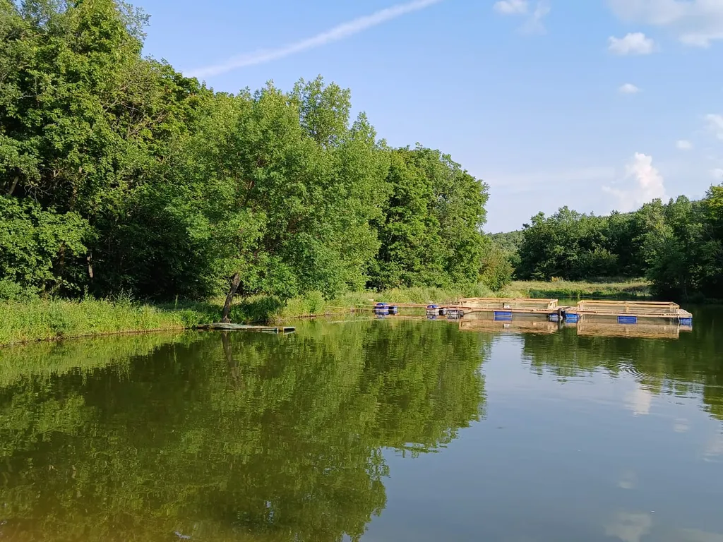 Дом с бассейном рядом с Волгой