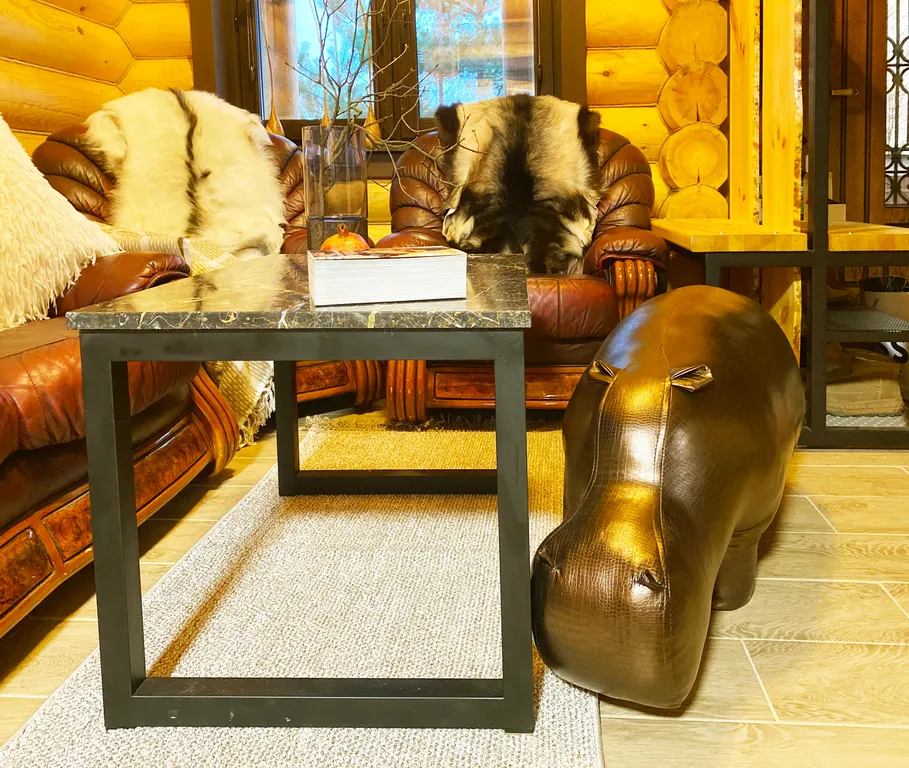 Эко шале Эдельвейс с видом на горнолыжный курорт Сорочаны