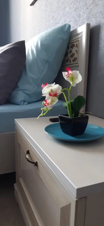 Новая квартира с евроремонтом