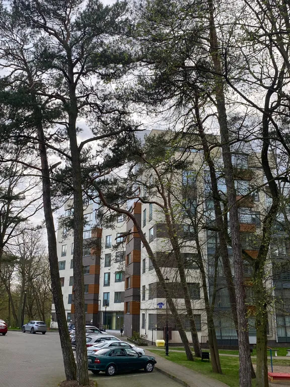 Уютная квартира с видом на море — аренда посуточно в Янтарный