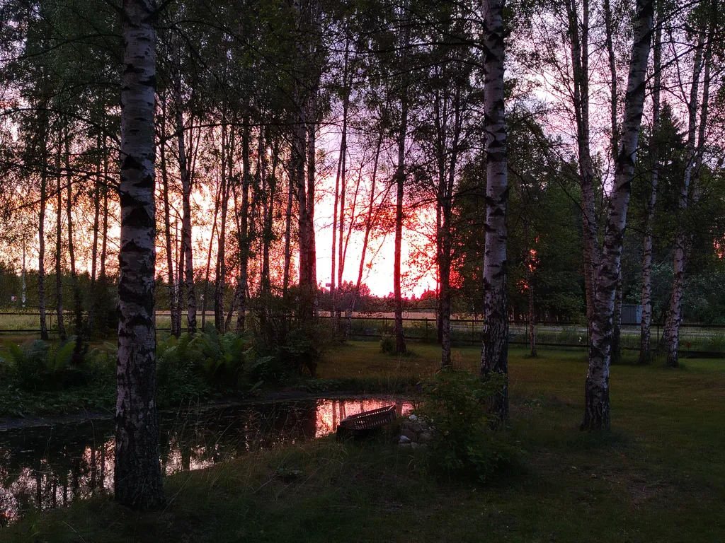 Дом на большом лесном участке