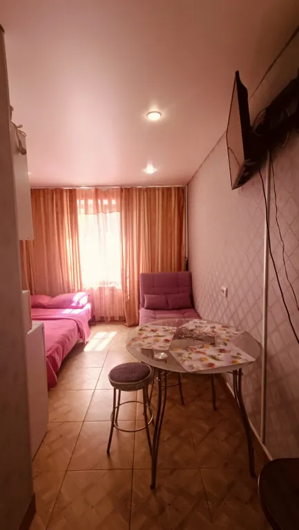 Квартира Уютная студия эконом класса в Ленинском районе — аренда посуточно в Челябинск