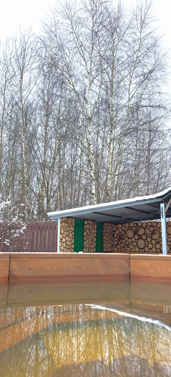 Дом с русской баней на дровах , хамам и бассейном