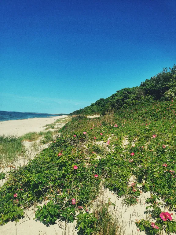 Барнс дача у моря