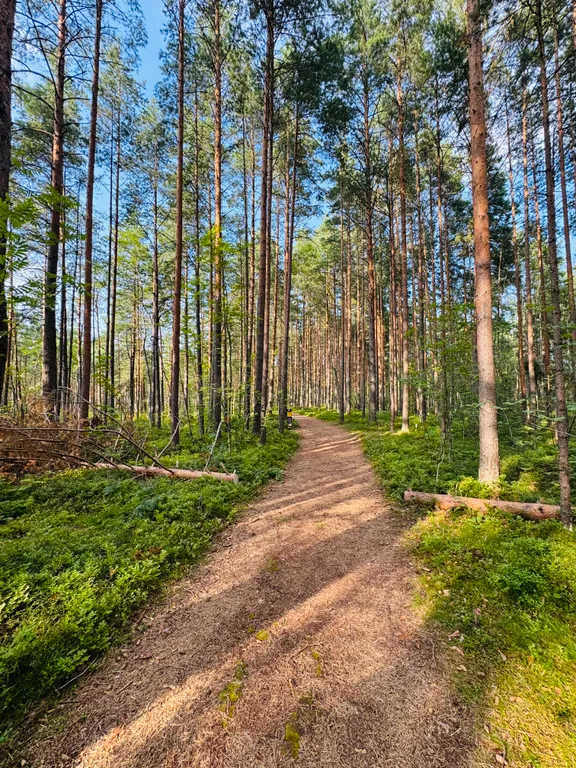 Коттедж Новый уютный дом на берегу Ладожского озера — Коккорево