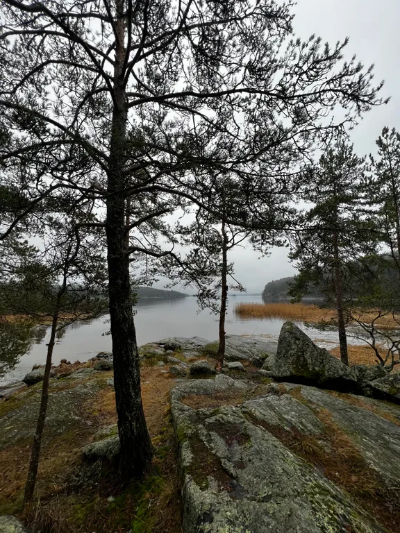 Стильный дом на берегу Ладожского озера с панорамным видом