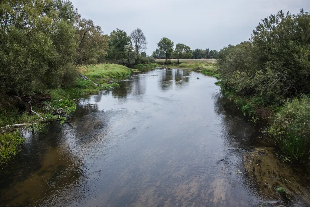 Агроусадьба Лесная Паулинка