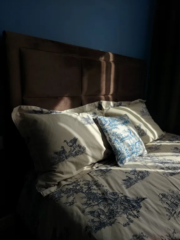 Студия с черным санузлом