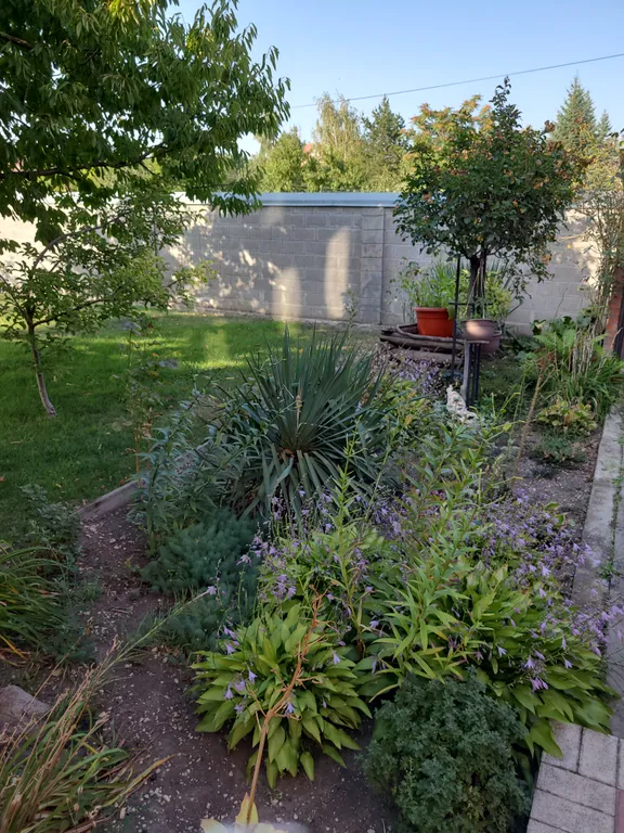 Просторный уютный дом