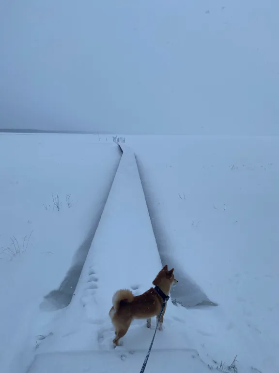 Коттедж в Карелии с сауной и видом на озеро