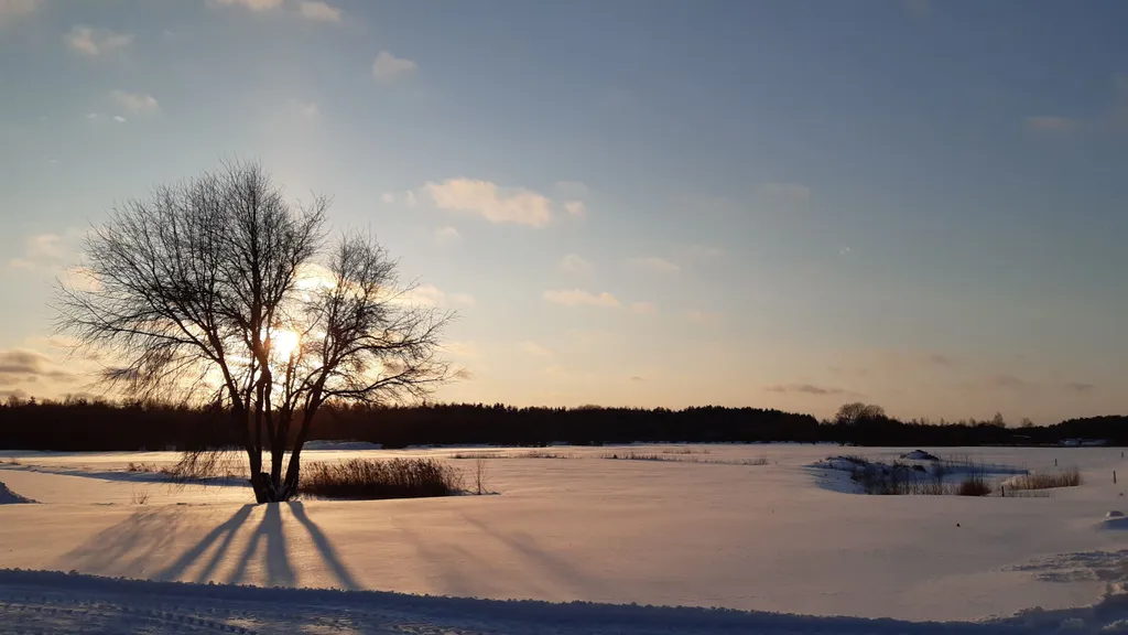 Дом в деревне