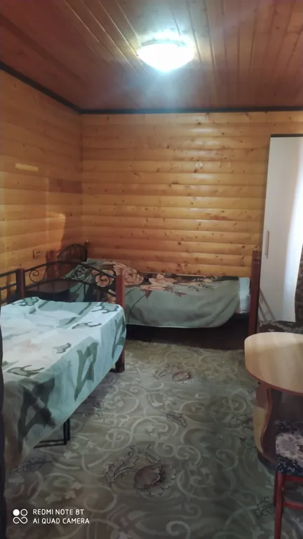 Дом в эко стиле