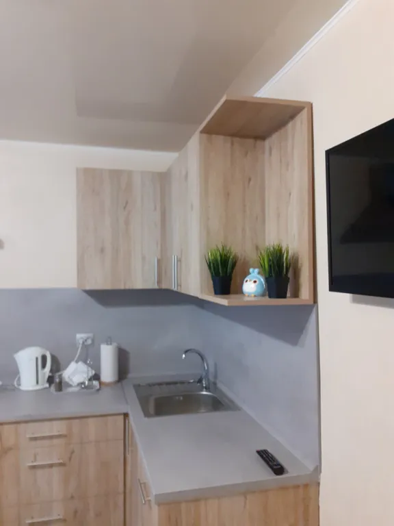 Уютные аппартаменты в центре города с отдельным входом