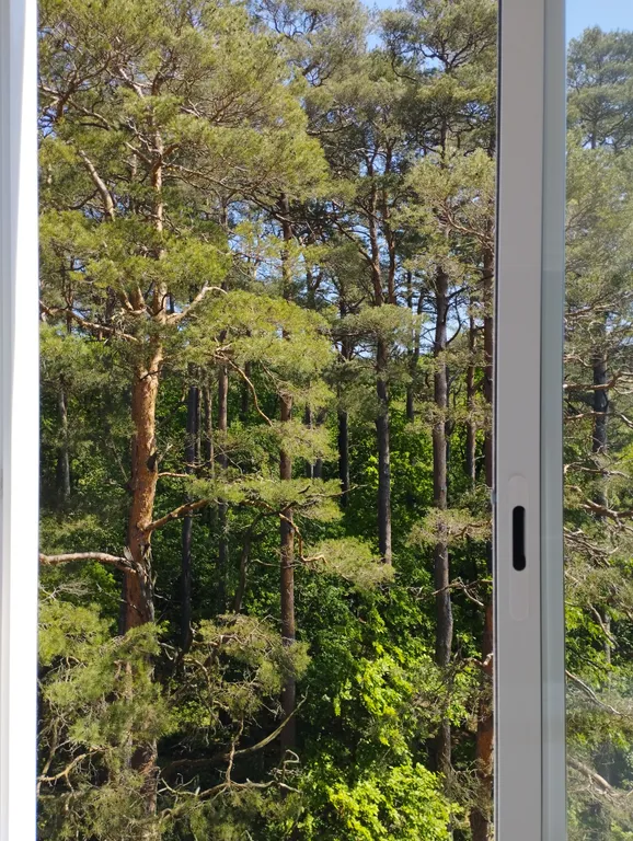 Квартира Квартира У Тихого озера — Светлогорск