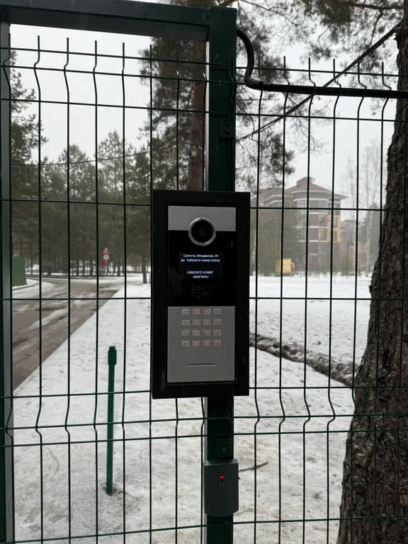 Апартамент в сосновом лесу