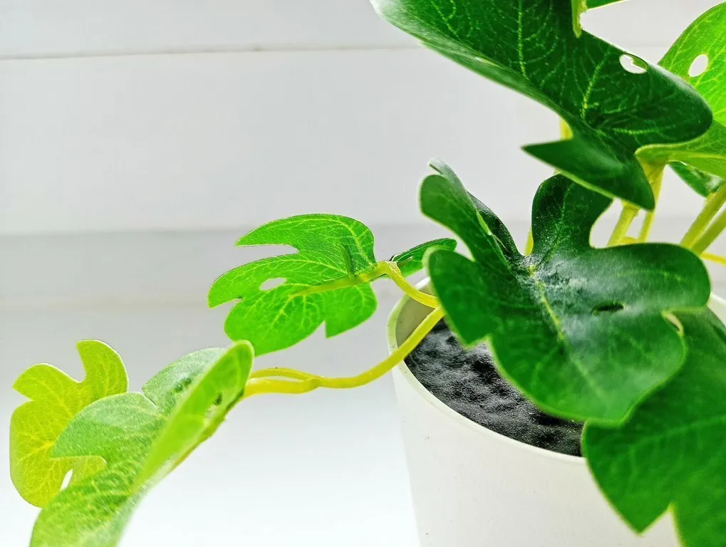 Уютная евродвушка в доме Комфорт класса Дядя Степа/ Кировский район