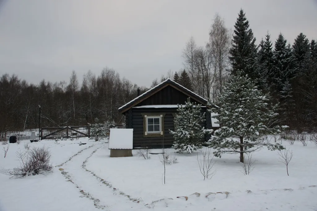 Деревенский дом и баня