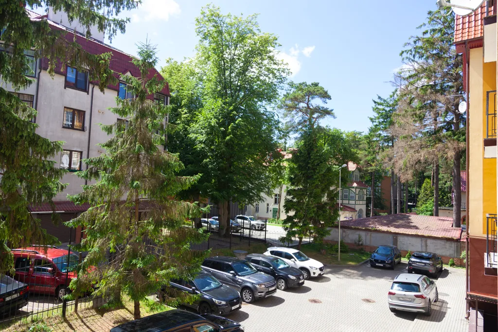 Квартира Квартира Сосновый рай в центре — Светлогорск