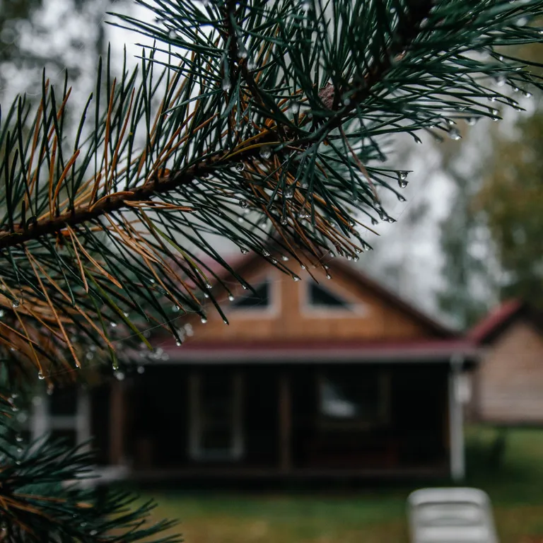 Архаичная Изба XIX века