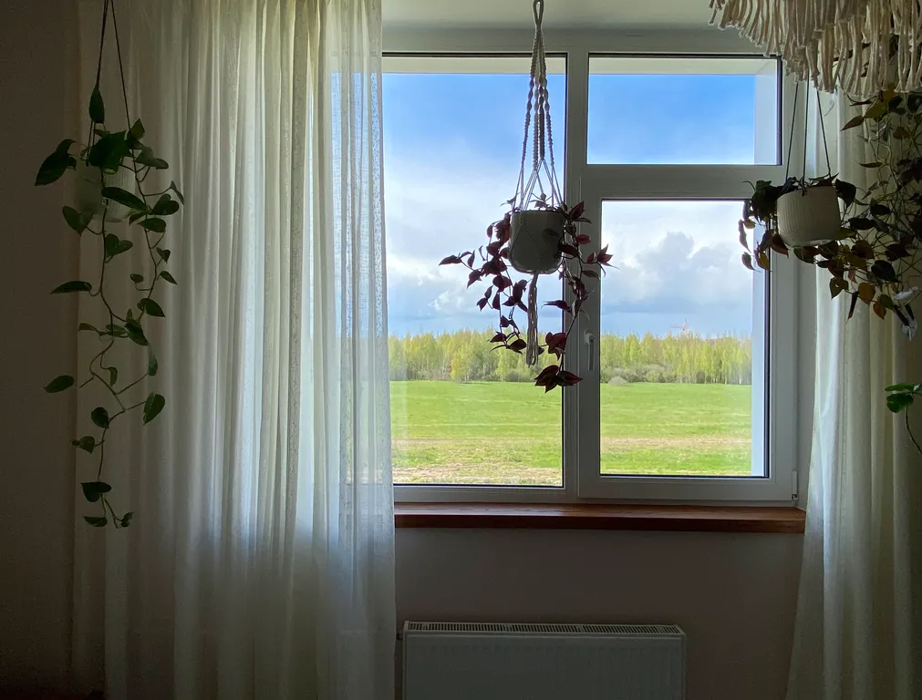 Зелёная квартира с прекрасным видом