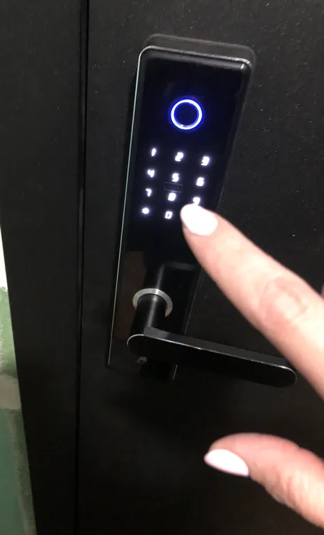 Студия Индиго