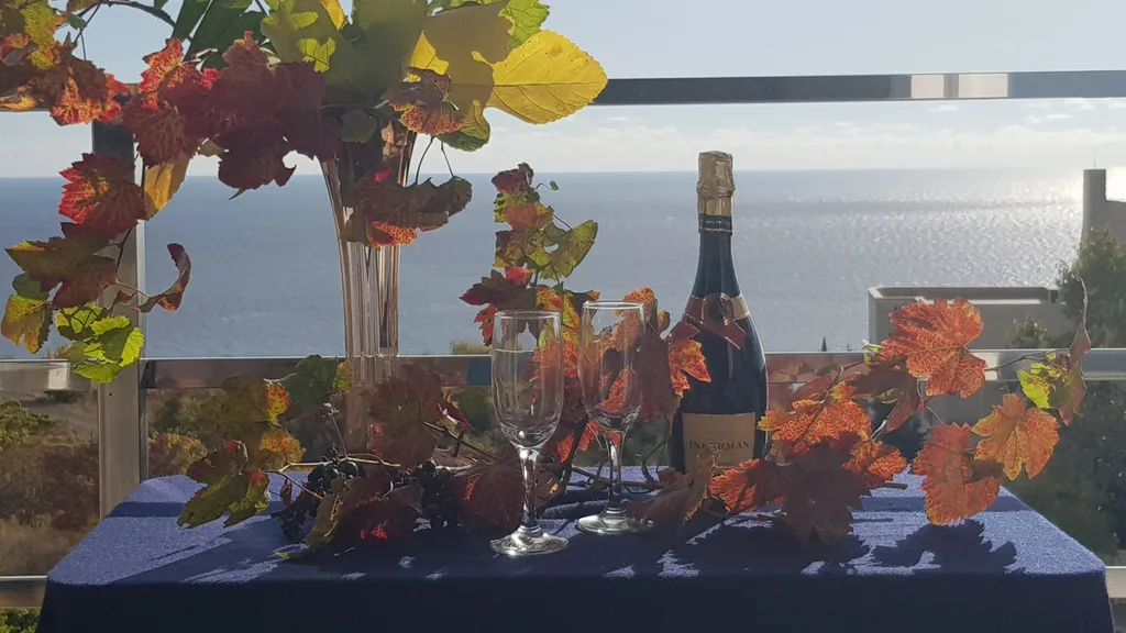 Квартира Прованс с видом на море — аренда посуточно в Ливадия