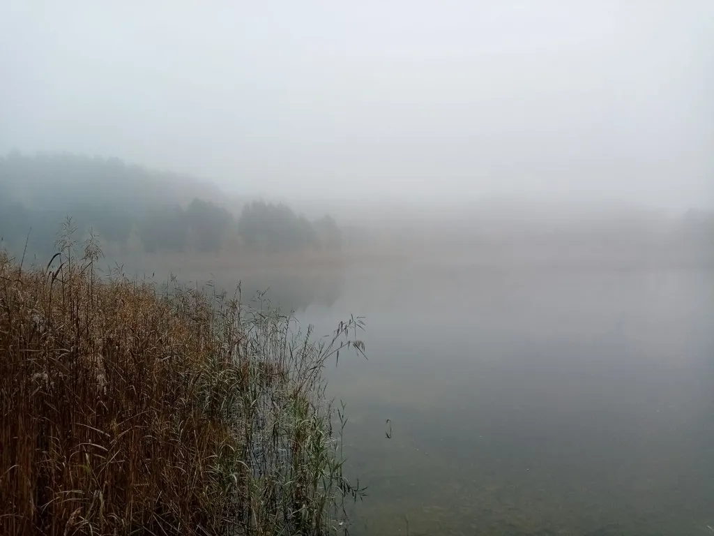 Усадьба в Беловежской пуще У Камина