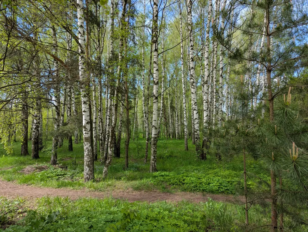 Квартира Квартира Лучшее времяпровождение в нашей чистой, комфортной, уютной квартире — Ярославль