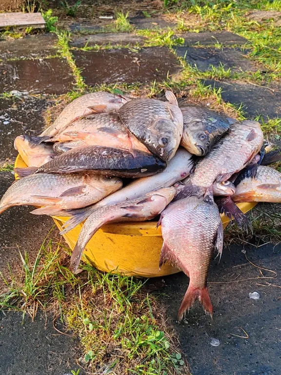 Дом с видом на реку