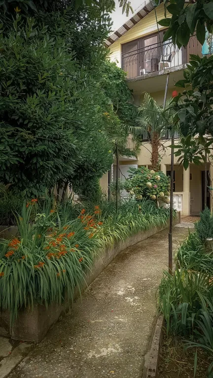 Квартира Комната люкс с удобствами в номере — Гагра