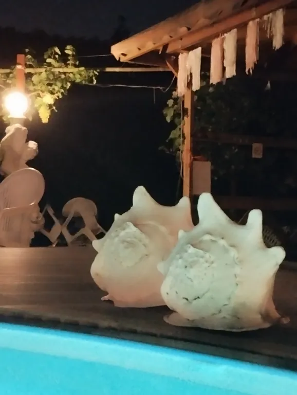 Апартаменты с бассейном
ДомКрус